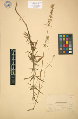 LE 01002887