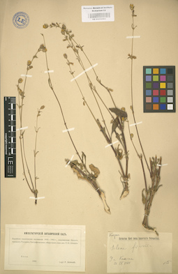 LE 01002983