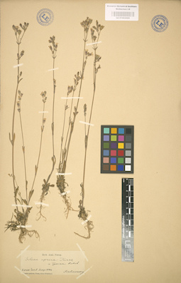 LE 01002988