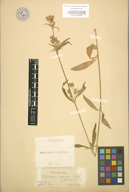 LE 01002989