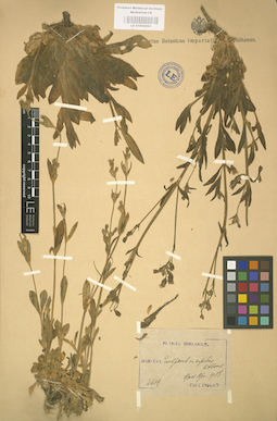 LE 01002993