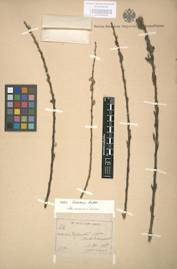 LE 01003030