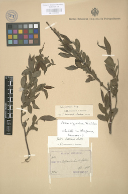 LE 01003033