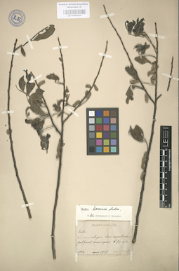 LE 01003034