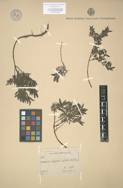 LE 01003040