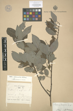 LE 01003041