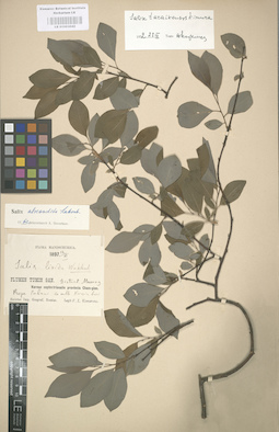 LE 01003042