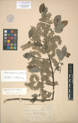 LE 01003043
