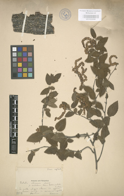 LE 01003058
