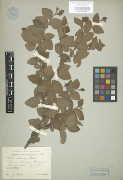LE 01003059