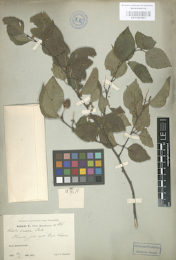 LE 01003063