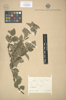 LE 01003067