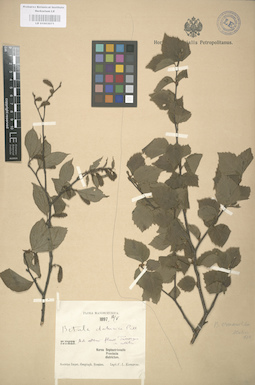 LE 01003071