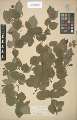 LE 01003072