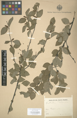 LE 01003074