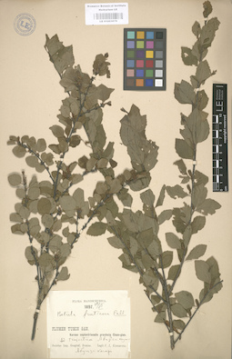 LE 01003079