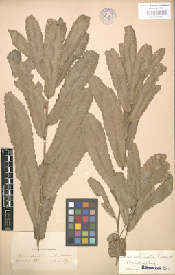 LE 01003080