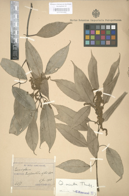 LE 01003082