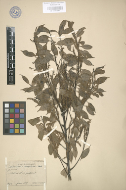 LE 01003087