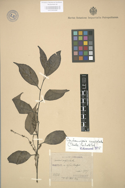 LE 01003088