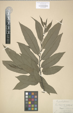 LE 01003097