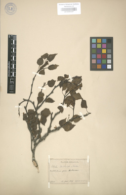 LE 01003107