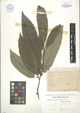 LE 01003111