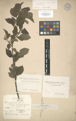 LE 01003114