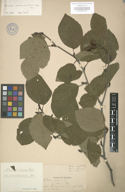 LE 01003119