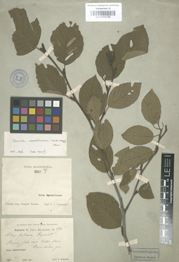 LE 01003120