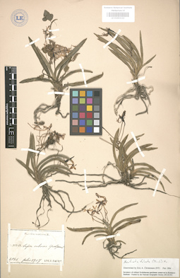 LE 01003122