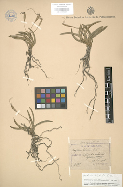 LE 01003123