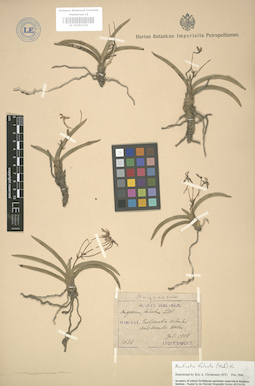 LE 01003124
