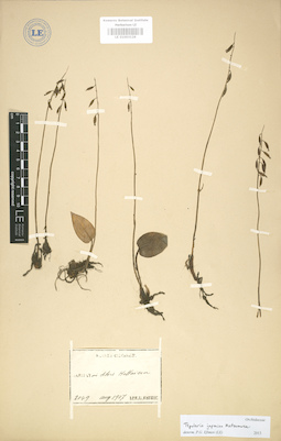 LE 01003126