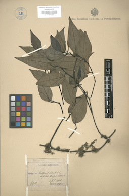 LE 01003127