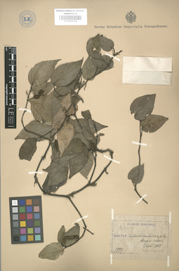 LE 01003128