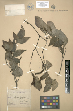 LE 01003129