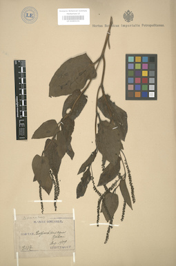 LE 01003131