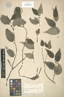 LE 01003133