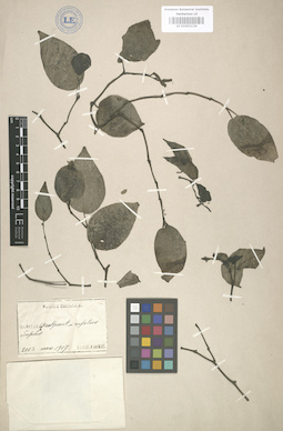 LE 01003134