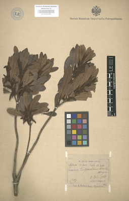LE 01003158