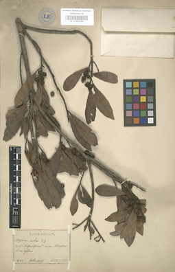 LE 01003159