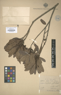 LE 01003160