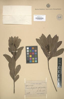 LE 01003164