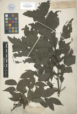 LE 01003165