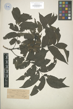 LE 01003166