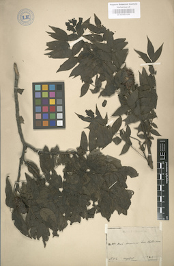 LE 01003169