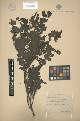 LE 01003170