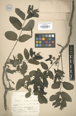 LE 01003172