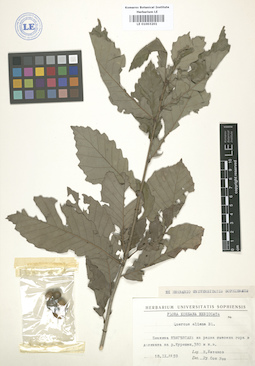 LE 01003201